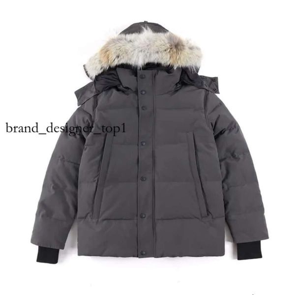 Giacca da uomo Canada Goose Down Down Down Parkas maschi da uomo giù per la giacca per palla per parcheggi può gooses marca di marca lunga canade