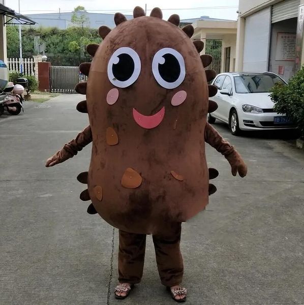 2024 Hot Sales Sea Cucumber Mascote Costume Terno Halloween Party Game Dress Roupe