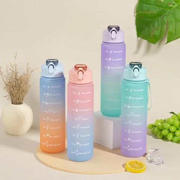 Wasserflaschen 750 ml Trinkflaschen-Gradient großer Kapazität und leckeres INS-Stil