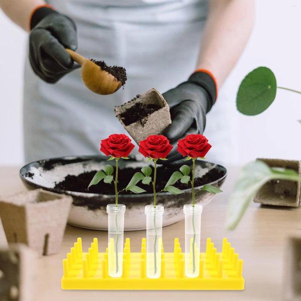 Dekorative Blumen Blumenwasserhalter Display Regale Tabletop Hydroponic Pflanzer Rack Bottomhalterung