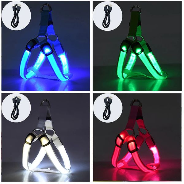 Luminöser Hundekabelbaum laden Anti-Lostcar-Unfallhellhund Brustband Safe LED Hunde Leinenkabelbaum für Haustiere Hunde Ackerios 240417