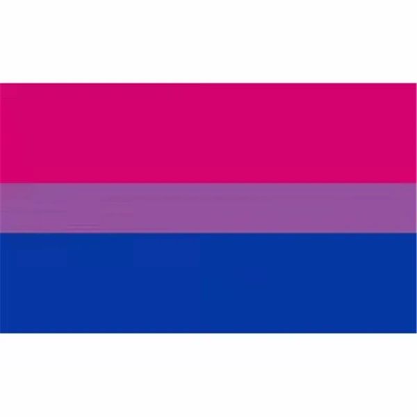 DHL Shipping Bisexual Pride Flag LGBT 90X150CM Розовый синий радужный флаг домашний декор для гей -значки для ЛГБТ -флага 3x5 футов 0417