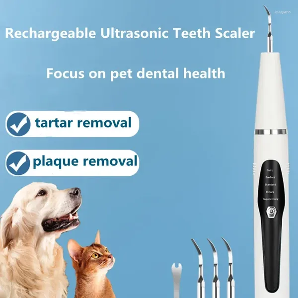 Dog Apparel Ultrassonic Pet Scaler Toothbrush Tooth Limping Tool Remover acessórios de tártaro
