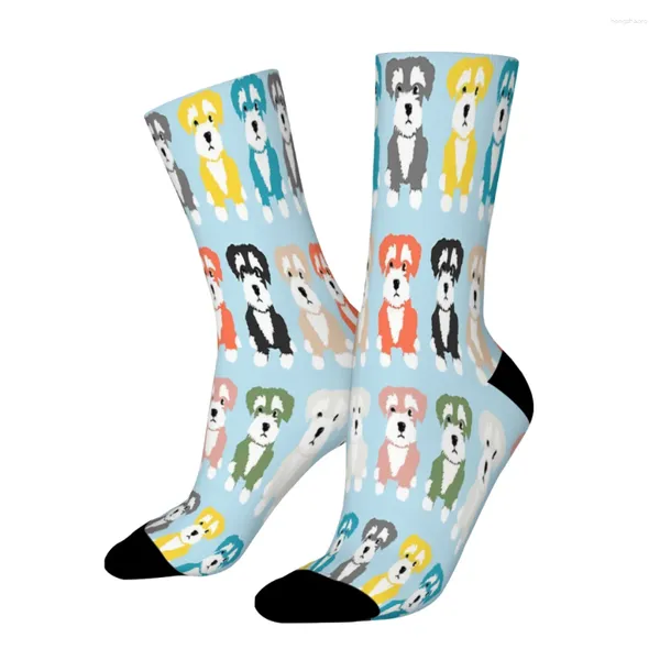 Herrensocken Regenbogen von Miniaturschnauzer Hunden Hund Design gerade männliche Männer Frauen Herbststrümpfe Polyester