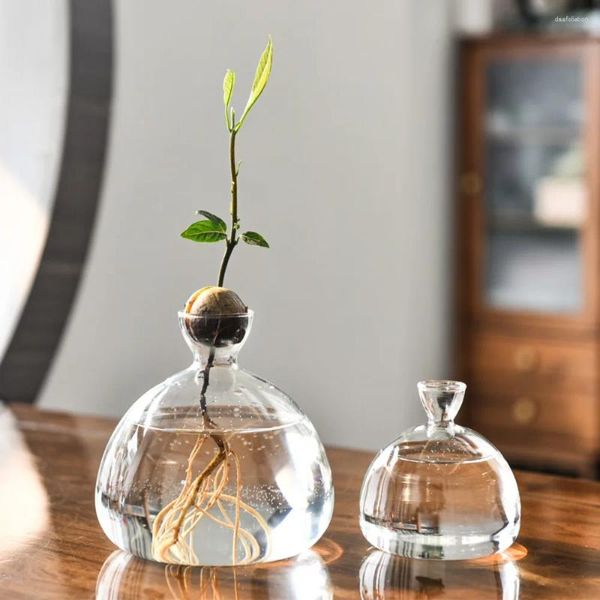 Vasos Avoco Starter Starter Transparente Vaso Hidroponia Kit Planta vidro com adesivos Presente para amantes de jardinagem