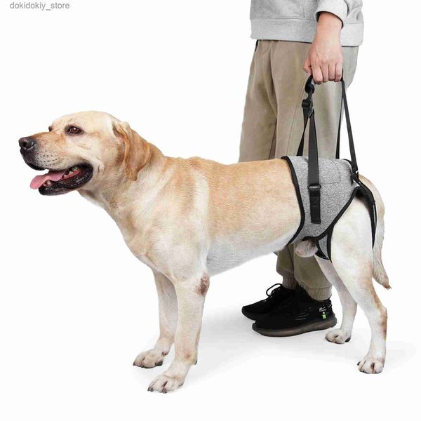 Portante portante di supporto per cani da supporto per la protezione per lesioni delle gambe al guinzaglio a piedi esterno per la disabilità per la disabilità per animali domestici imbottiti L49