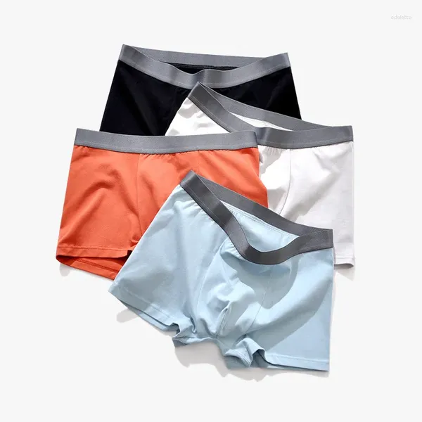 Underpants Männer Unterwäsche frische Farbe Baumwollboxer Plu Größe Boxer Shorts Soft 4pcs 3xl 4xl 5xl