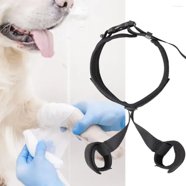 Suporte de vestuário para cães joelho ajustável para cães médios pequenos de cachorro de estimação de filhote de cachorro protetor de lesão de lesão