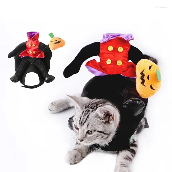 Katzenkostüme Kürbiskostüm -Pographie -Outfit kleine mittelgroße Hunde Halloween Neuheit Anzug 090c