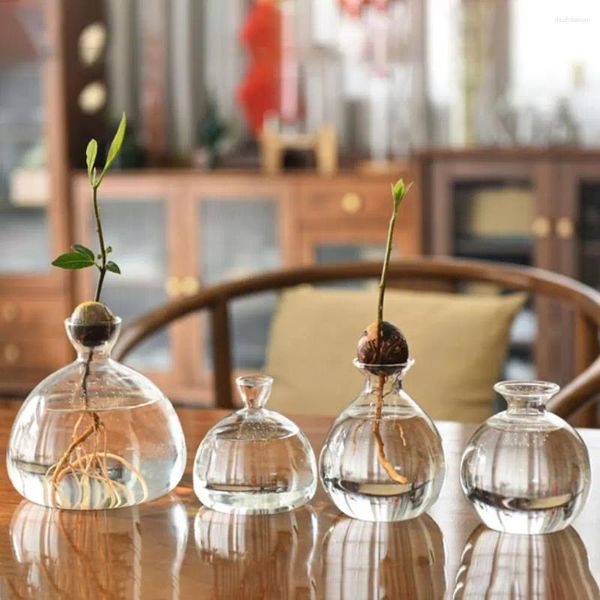 Vasen Einfache transparente Glas Avocado Vase Hydroponik Samen Starter Pflanzenflaschen Wachstum von Kit Geschenk