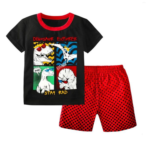 Set di abbigliamento da 2 a 3 4 5 6 7 8 9 10 11 12 13 anni 2024 abiti per bambini del Dinosaurio