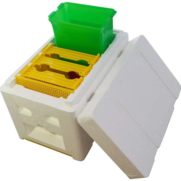 Suprimentos 18 unidades Novo modelo Mini NUCS Wholesale Complete Mini -acasalamento da colméia com molduras de plástico Polinização de apicultura removível