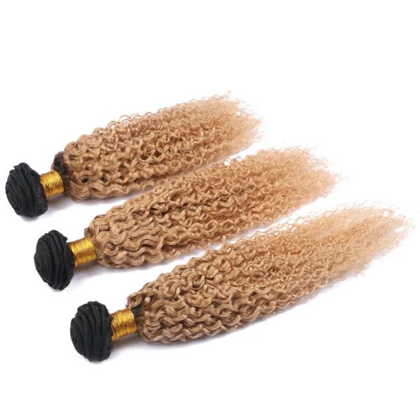 Doccette curly 1b/27 Honey bionda ombre malese per capelli umani estensioni 1030 