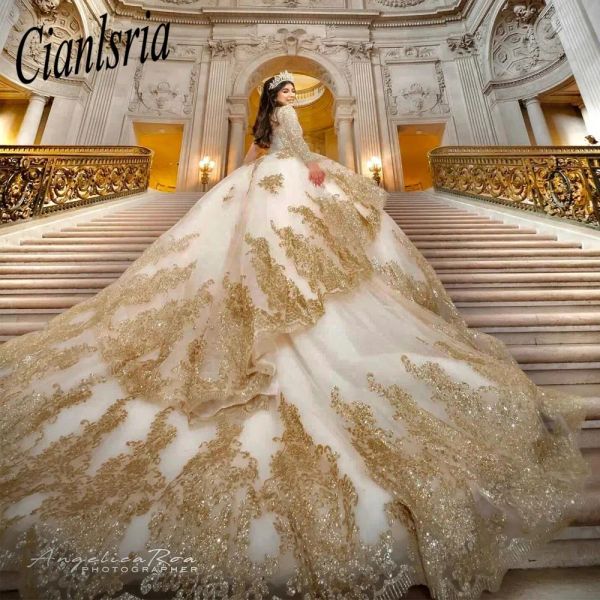 Prinzessin Tulle Ballkleid Quinceanera Kleider Meninas de 15 Anos Applikationen 3Dblumen Ballkleid Vestidos de Debutante