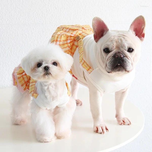 Vestidos de cachorro de vestuário para cães para 2024 roupas de estimação para animais de estimação cães pequenos e saias gordas mascotas roupas perros accesorios