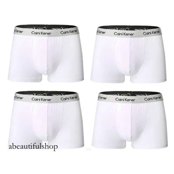 Calvins Boxer Underpants 4pcs Men Boxer Man di alta qualità Man corto Shorts a comodo flessibile traspirante Shorts adorabili adorabili mutandine solide 804 804