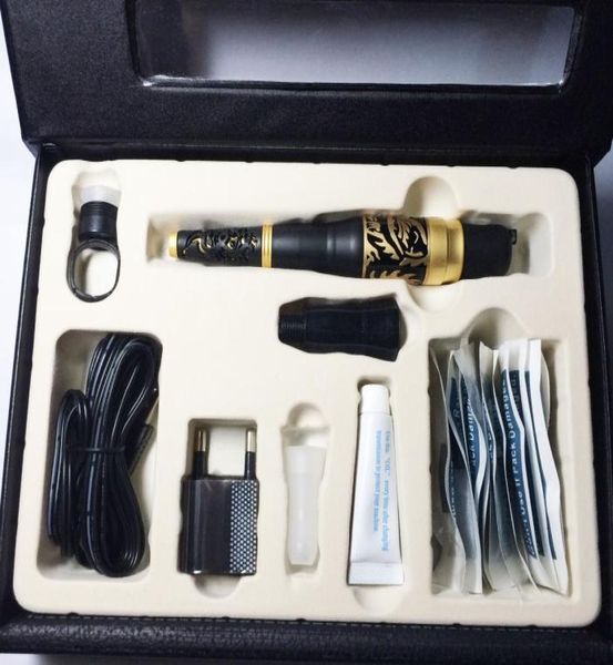 1 Definir maquiagem de maquiagem Dragon Kit Tattoo Tattoo Gun Afles Caps Kits completos de tatuagem cosmética para tatuar Eyeliner7845091