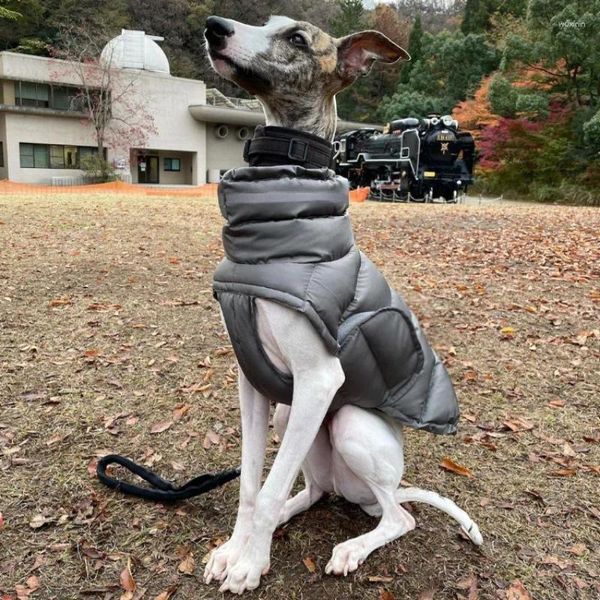 Hundekleidung 2024 Kleidung Welpe Herbst und Winter verdickte warme wasserdichte winddichte Haustierweste Baumwollmantel