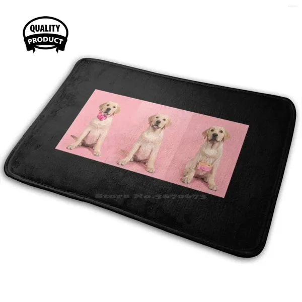 Carpets Labrador Retriever cachorrinho com câmera de brinquedo e fones de ouvido rosa 3D Bens de tapete de tapete de tapete de tapete de tapete loira loira