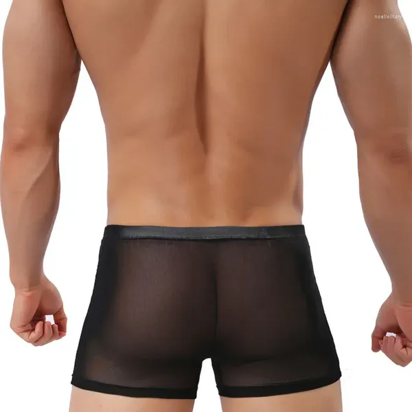 MUITAS PONTES Mens Boxer Sexy Roupa Transparente Veja através de shorts Male calcinha masculina Penis Gay Soft Cueca Presente para