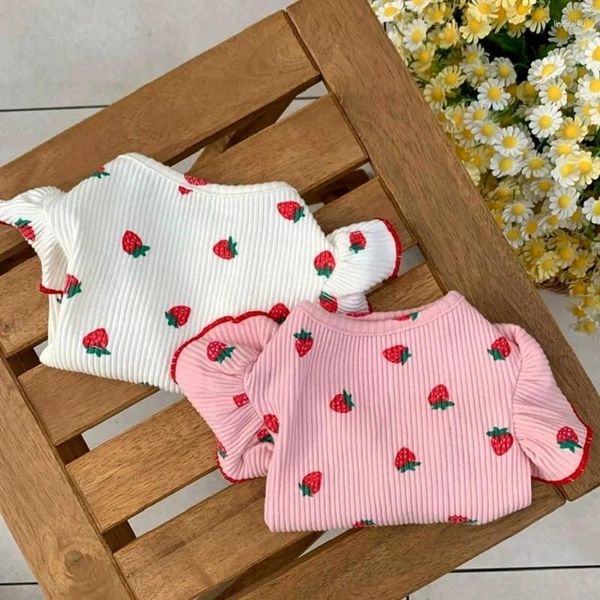 Cucciolo di abbigliamento per cani 2024 vestiti cotone ragazza sottoschetta estate raffreddamento camicia di fragole di fragole chihuahua bichon abbigliamento