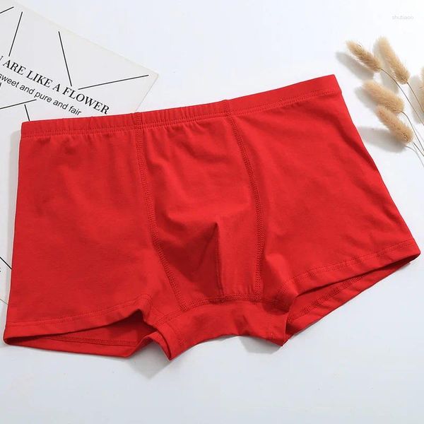 Underpants Men Sexy Underwear Boxer Mandine maschile Modal Fashion Red Boxershorts Hombre