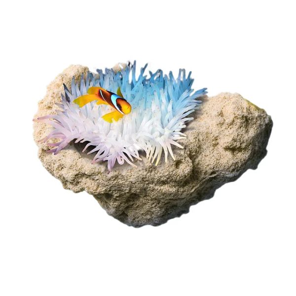 Аквариумы магнитная левитационная анемон гнездо предотвращают убегание рыбного аквариума Камень, денитрифицирующие бактерии, умноженные