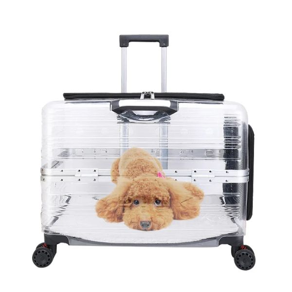 Tale de viagens de bagagem pequeno animal grande animal de estimação Puppy Rabbit Cat Carrier Backpack Case Caso Dog Saco portátil