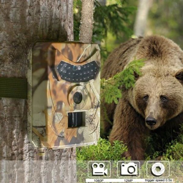 Камеры на открытом воздухе HuntingCamera 12MP Детектор с дикими животными.