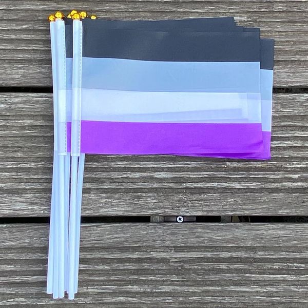 XVGGDG 100pcs 14 * 21 cm Flag di mano personalizzato LGBTQIA Comunità non sessualità Asessualità Flag di orgoglio asessuato 240417