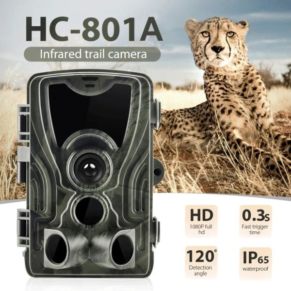 Камеры дикой природы камеры 24MP 1080p IP65 Охотничья камера HC801A PIR Sensor Night Vision Photo Trops Беспроводное наблюдение