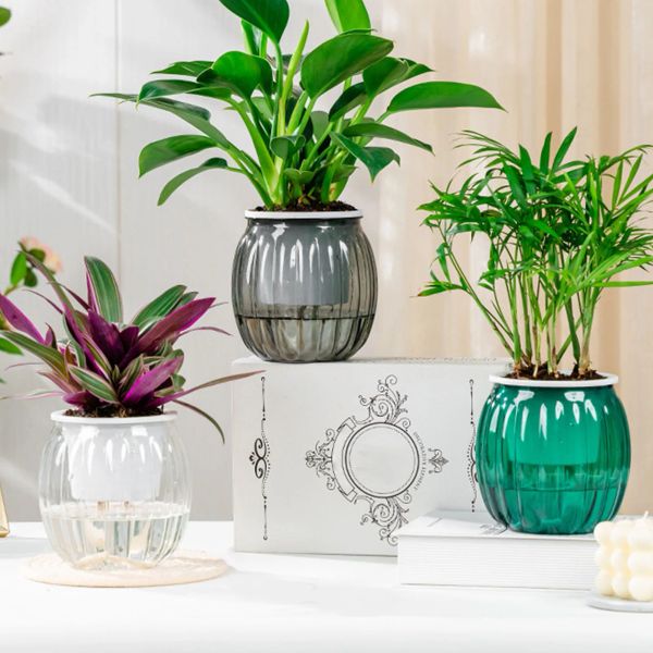 Aquários Mini Auto -Água de Flores de Flores Tanque de Peixe Tanque de Plantas de Planta Plástico Transparente Vaso de Plantador Auto -Água para Decoração em casa