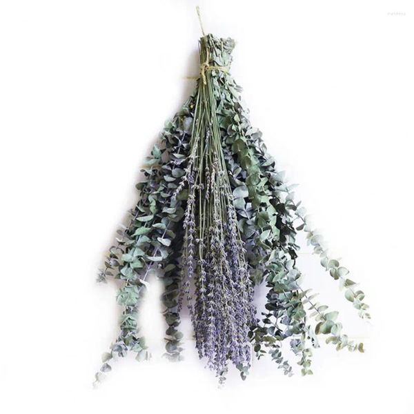 Flores decorativas lindas folhas de eucalipto criam uma atmosfera calma decorar decoração de casa com vários estilo, planta de chuveiro de lavanda aromática