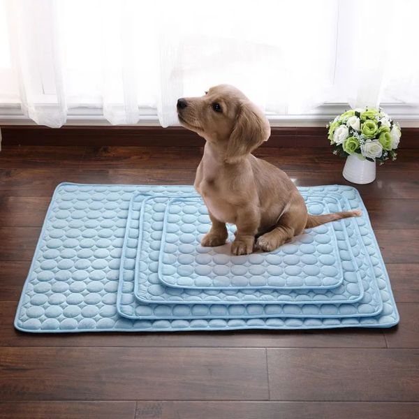 Summer Refrigeing Mat Pet Dog Cat Pad Pad Absorção de Água Top Bottom Dragues Fácil Limpe