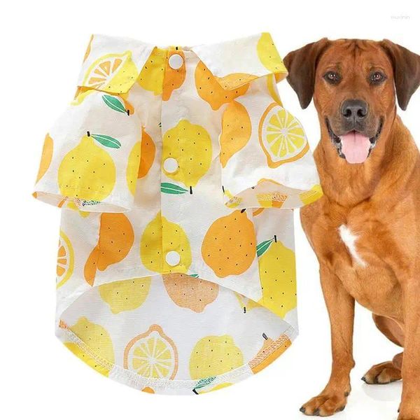 Abbigliamento per cani vestiti per animali domestici estivi t-shirt cucciolo stampato di frutta per piccoli cani mediocri
