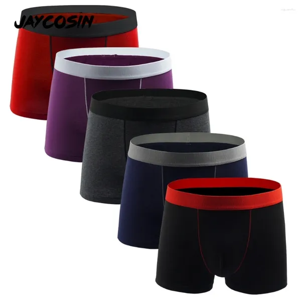 MUITAS PONTAS JAYCOSIN 5PCS Roupa Man calcinha 40s Cotton Boxers Brandable Men confortável Menina de malas Jockstrap boxer Jockstrap Boxer