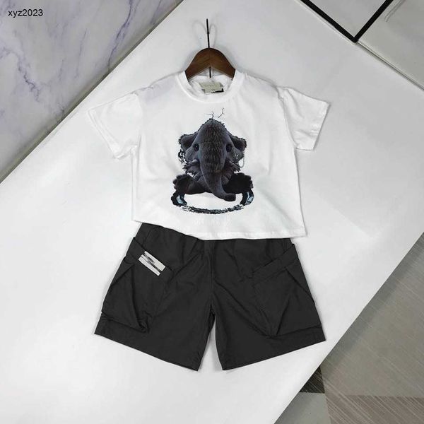 Moda Bebek Takipleri Yaz Boys İki Parçalı Set Çocuk Tasarımcı Kıyafet Boyutu 90-150 cm Fil Baskı Tişört ve Şort 24 Nişan