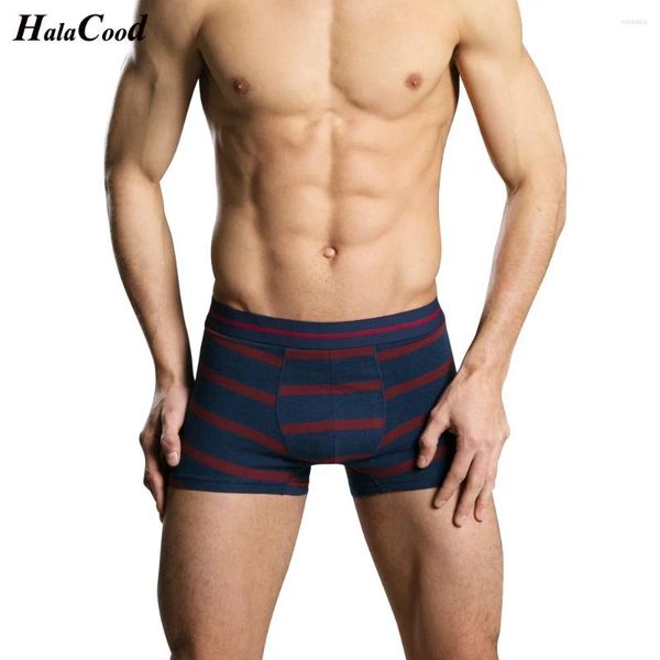 As cuecas vendem shorts de boxers de algodão de alta qualidade Sr. Brand Fashion Sexy Male Rouphe Men de tamanho grande gordura