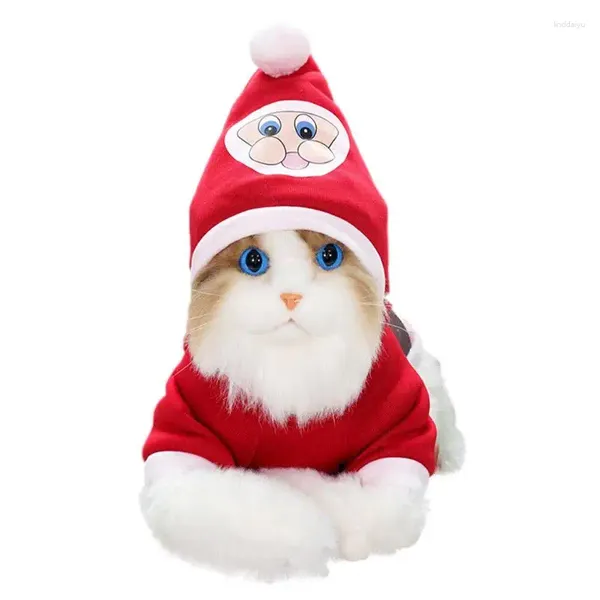Roupas de vestuário de vestuário de vestido de natal poliéster Papai Noel roupas de gato