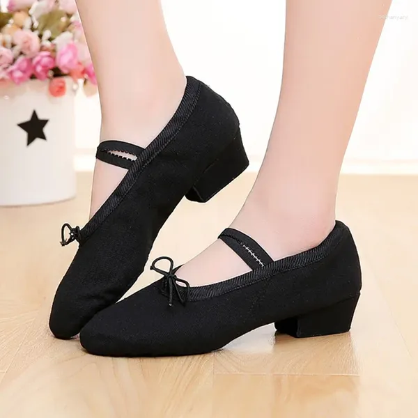 Tanzschuhe Clyfan professionelles Ballett für Frauen Mädchen Kinder Low Heel Canvas Teacher Dancing Class