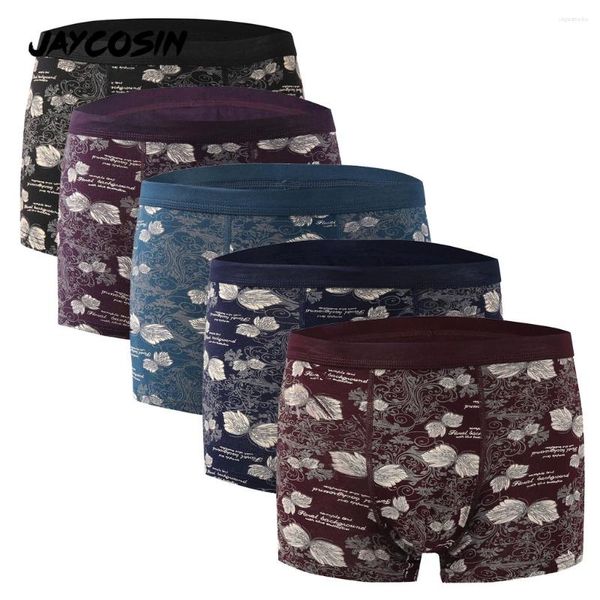 Underpants Jaycosin 5pc Stampato da uomo biancheria intima morbida mutandine brevi slip sexy set di mutandine a prova di umidità in cotone