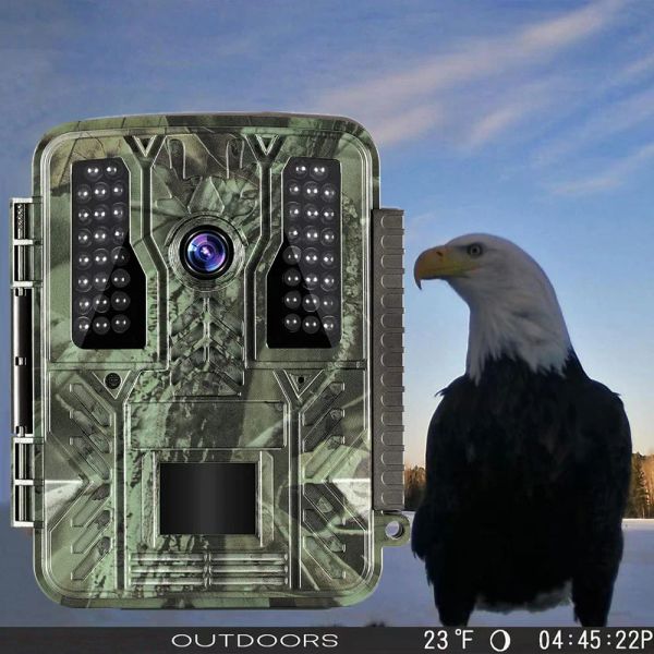 Kameras 32MP Wildlife Hunting Camera 4K HD Outdoor Hunting Trail Kamera Infrarot Nacht Sichtsensor IP67 wasserdicht für Bauernüberwachung