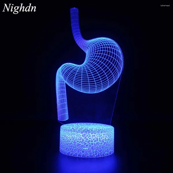 Luzes noturnas Nighdn acrílico Luz 3D de estômago liderado