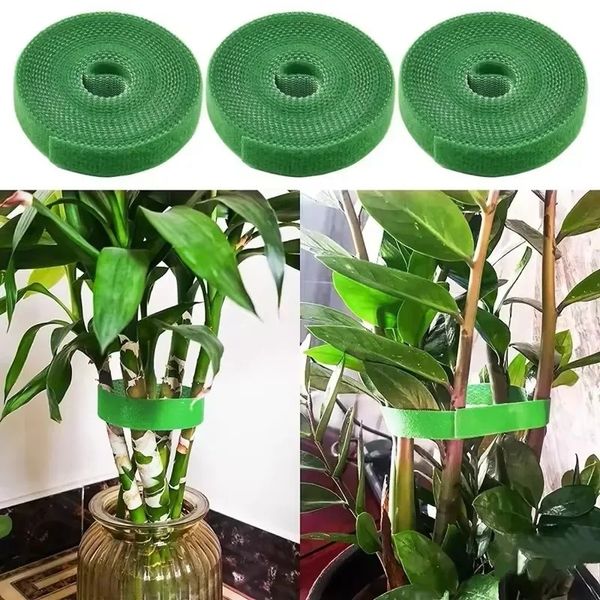 Planta de nylon de 2m laços de planta bandagem lacuada loop de laço de luto de laço de suporte ajustável fita reutilizável fita de fixador para acessórios para jardim doméstico