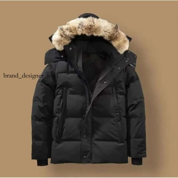 Canadian Fashion Brand Down Puffer Jackets Designer Real Coyote Furte Outdoor Frewer Jassen Sottomarino Cappuccetto FourRure Down Down Giacca Hiver Parka