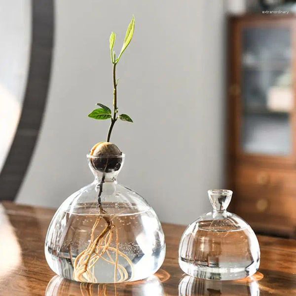 Vasen Avocado -Samen Starter Vase Clear Wärmefestigkeit Glass Pflanzer Baumpflanzentopf Geschenk für Gartenliebhaber