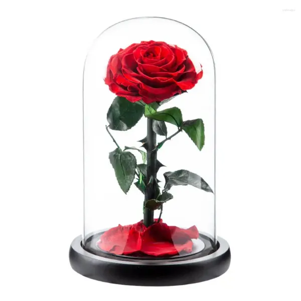 Dekorative Blumen Ewige Rose in Glas Kuppel romantische ästhetische Blumengeschenk Mutter Tag