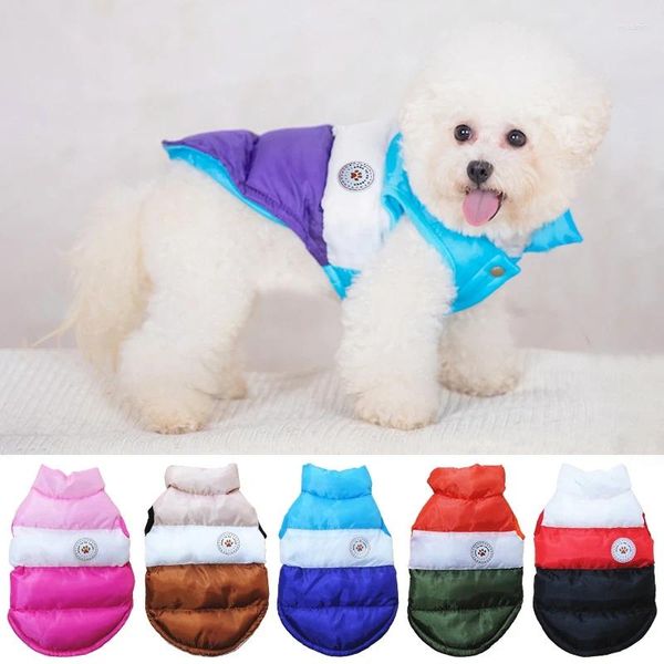 Abbigliamento per cani abiti da compagnia inverno per piccoli cuccioli di cucciolo a tre colori abbottonati gatta gatta imbottito