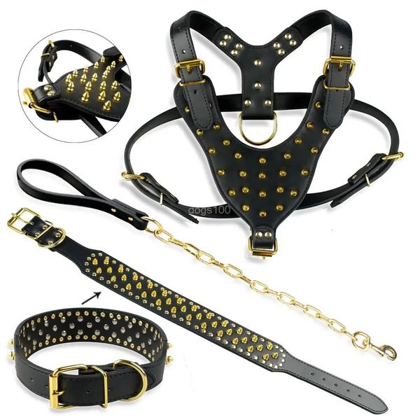 Grande Pet Pet Pitbull Gold Gold Spikes craveded Leather Harness Collar Collar Conjunto para cães 240418