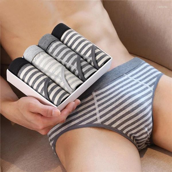 Poltas de cuecas Marca de roupas íntimas Sexy para homens Briefes polies Men's Panties Gay 2024 Slip Bikini Jockstrap Kit Brasileiro Soft